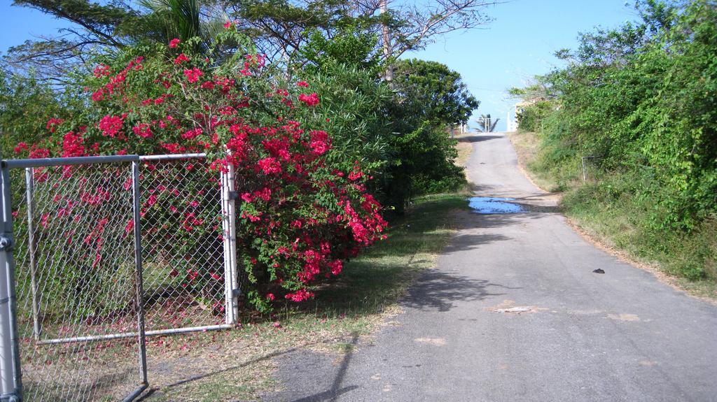 Tranquility By The Sea Villa Vieques Esterno foto