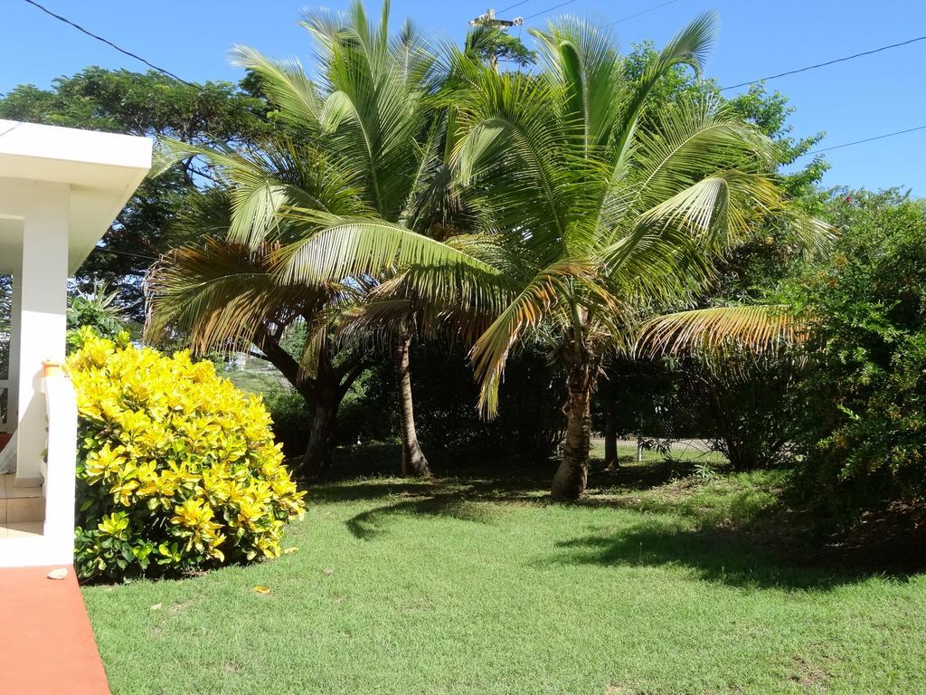 Tranquility By The Sea Villa Vieques Esterno foto