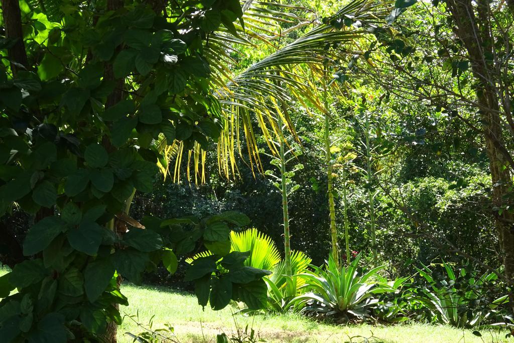 Tranquility By The Sea Villa Vieques Camera foto