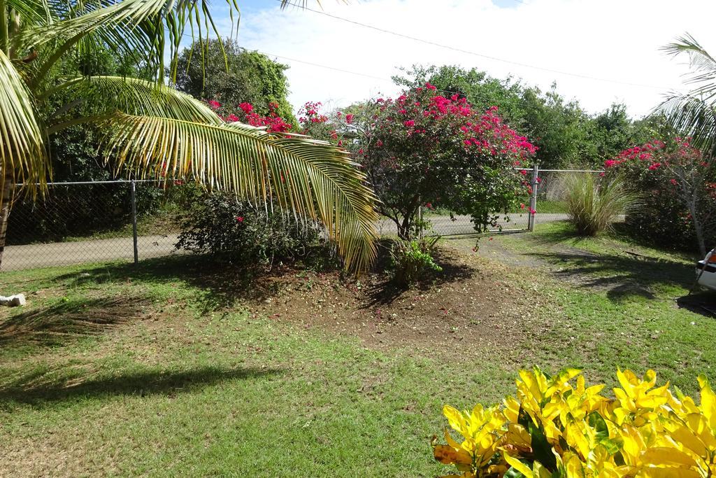 Tranquility By The Sea Villa Vieques Camera foto