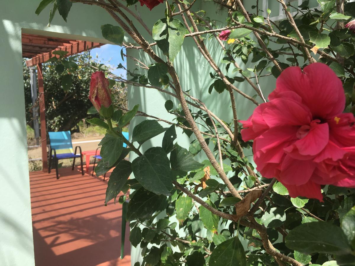 Tranquility By The Sea Villa Vieques Esterno foto