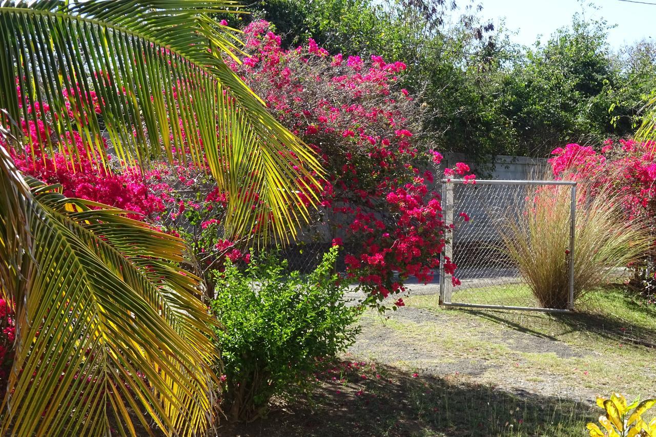 Tranquility By The Sea Villa Vieques Esterno foto