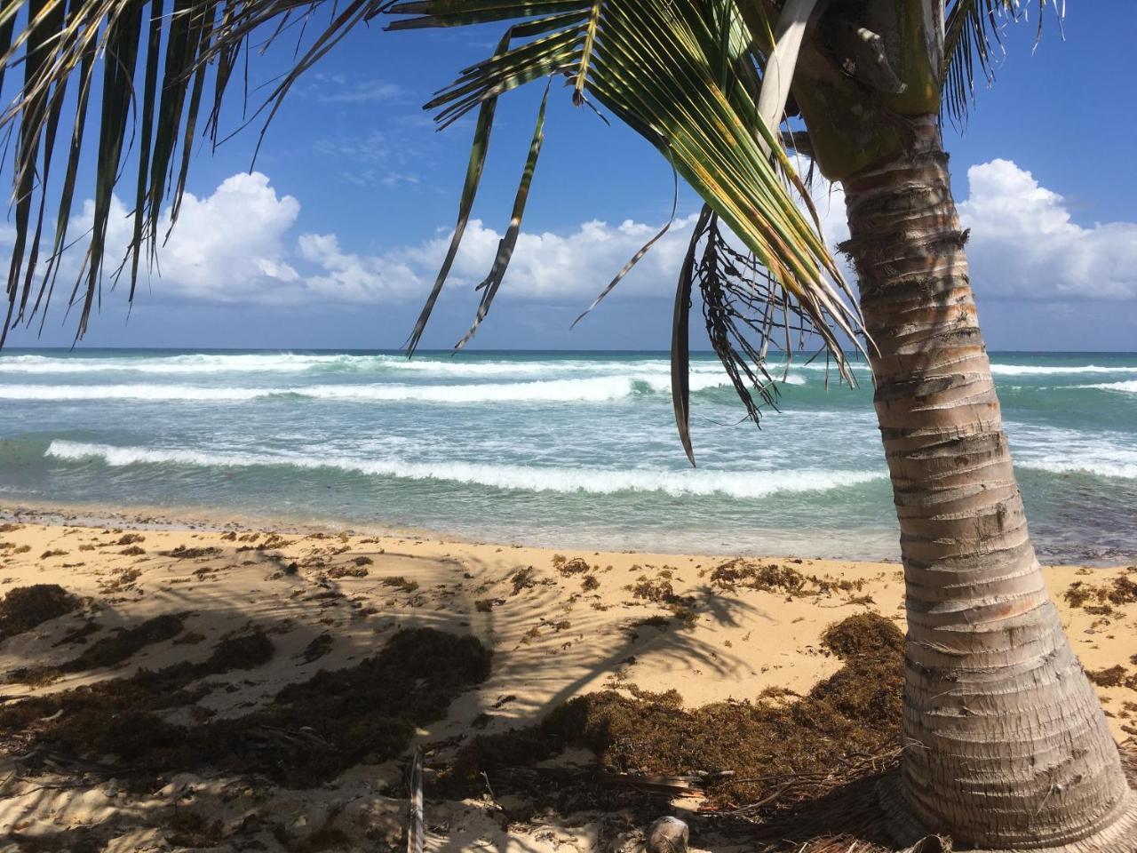 Tranquility By The Sea Villa Vieques Esterno foto