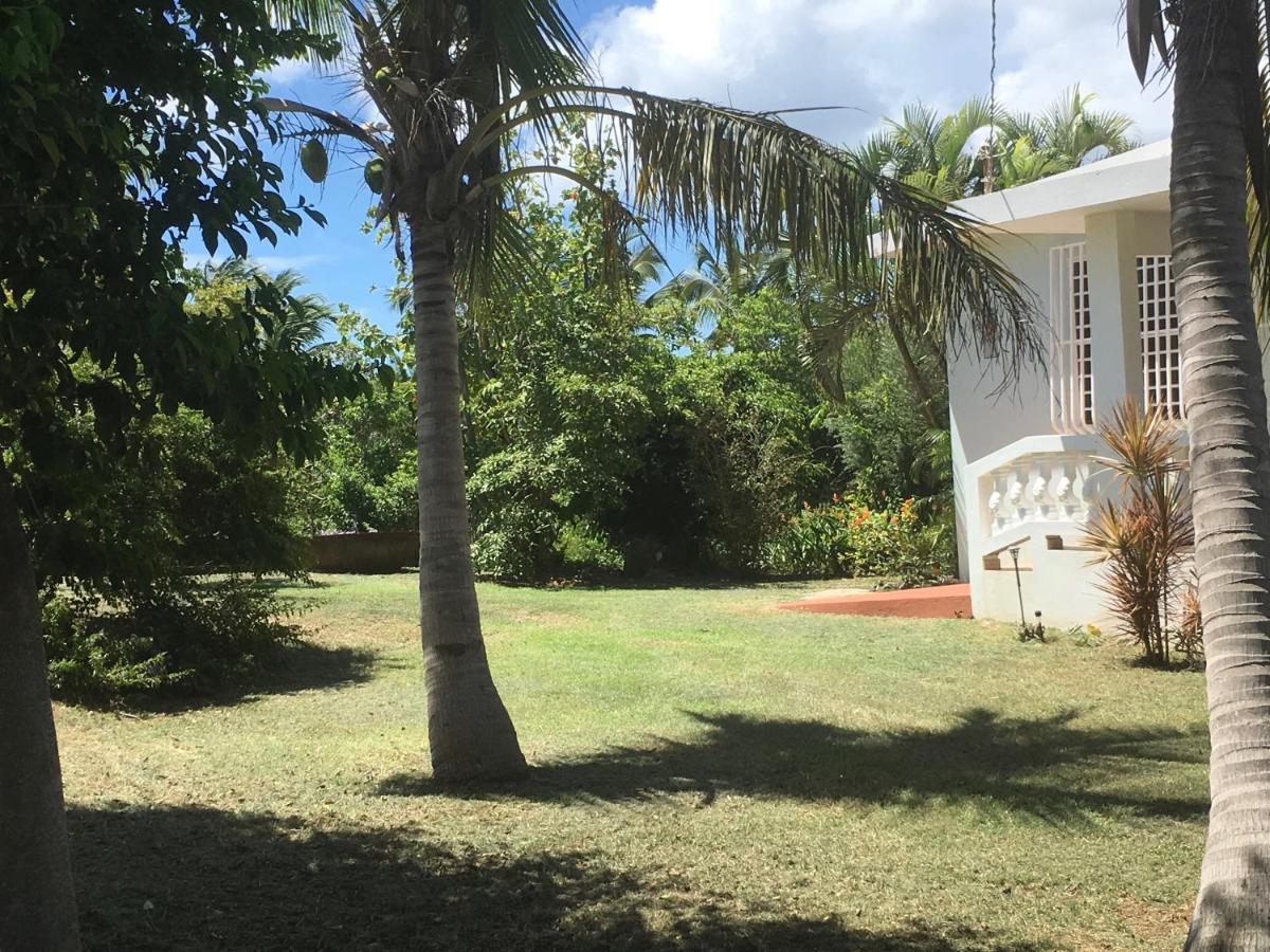 Tranquility By The Sea Villa Vieques Esterno foto